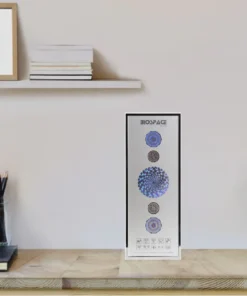 Alternative view of BIOSPACE 8V11 Diamond